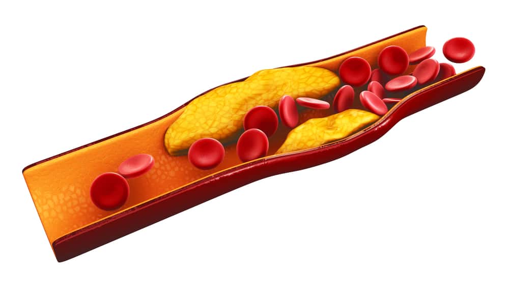 Vai trò của cholesterol trong màng tế bào