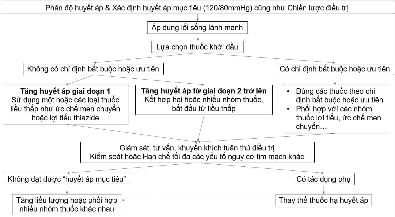 Phác đồ điều trị cao huyết áp